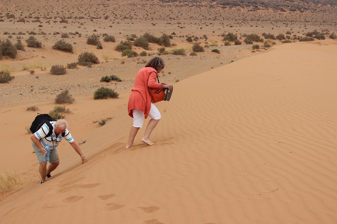 1 night in desert from Agadir - The return through Tiznit