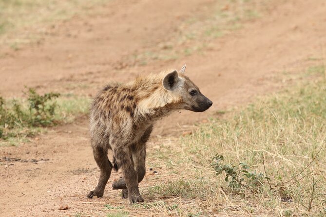 2 Days Tarangire and Ngorongoro Group Camping Safari - The overnight camp near Ngorongoro
