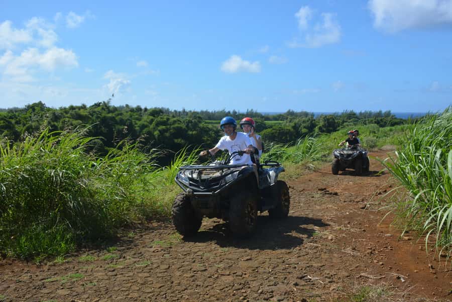 2-Hour Quad Bike Tour of the Wild South of Mauritius - Why the wild south works so well on four wheels