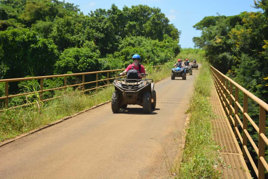 2-Hour Quad Bike Tour of the Wild South of Mauritius - Gris-Gris and La Roche Qui Pleure show Mauritius at its roughest
