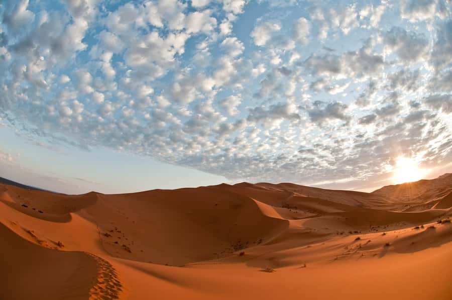 2Days Desert Tour From Fez: Round-Trip with Luxury Camp stay - What the drivers do well