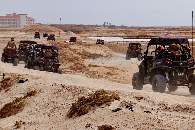 2h SSV Buggy Desert Adventure - 1000cc or 500cc - Ponta Preta, black rock, and winter surf