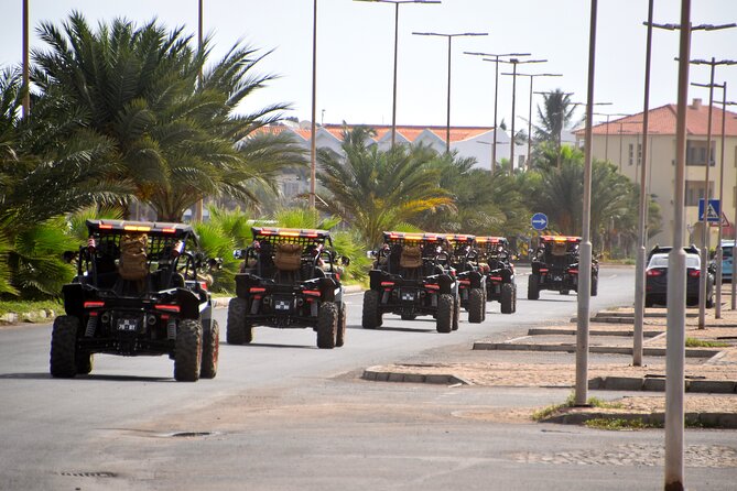 2h SSV Buggy Desert Adventure - 1000cc or 500cc - Guides, vehicles, and the feel of the ride