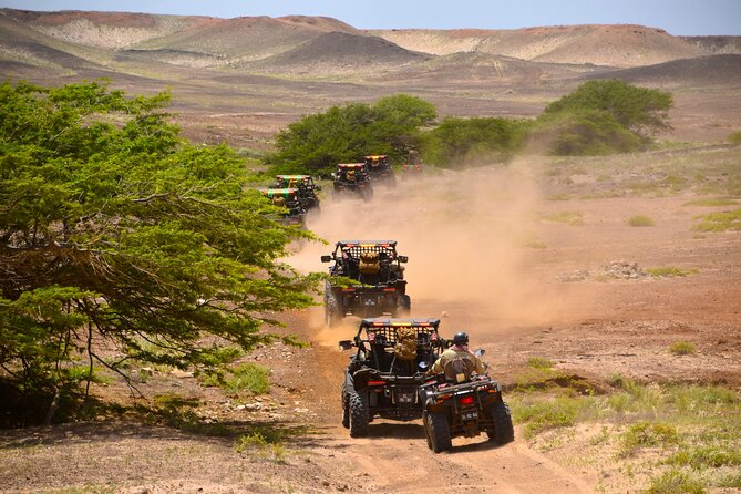 2h SSV Buggy Desert Adventure - 1000cc or 500cc - Is $127.45 per buggy good value?