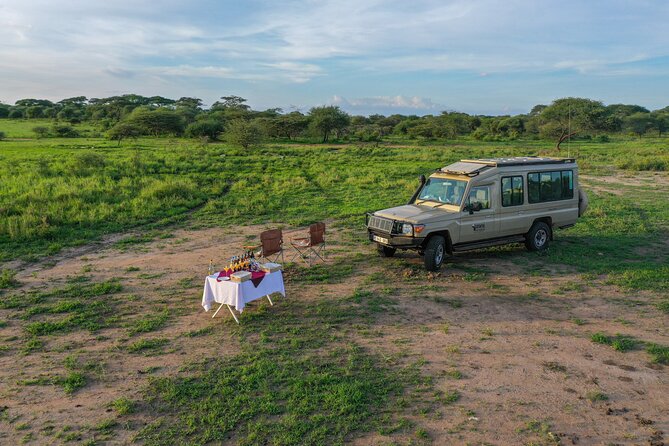 3-Day Classic Serengeti Safari - What is included, and what is not