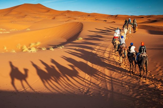 3-Day Marrakech to Fes Sahara Desert Tour via Merzouga - The Erg Chebbi camel ride at sunset