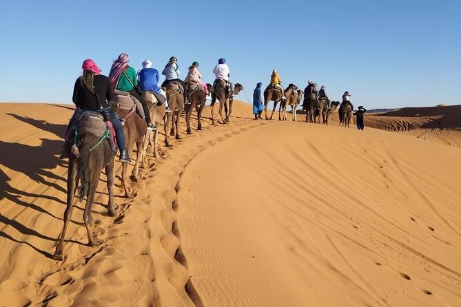 3 Days Desert Tour From Marrakech To Merzouga Dunes & Camel Trek - Todra Gorge and the Tafilalet route