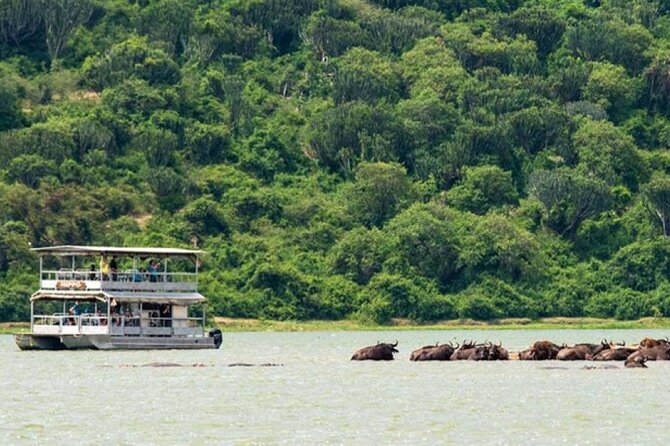 3 Days gorilla trekking Safari tour in Uganda - Why the gorilla permit changes the value