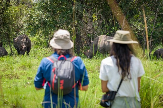 3 Days gorilla trekking Safari tour in Uganda - Day 2: Tracking gorillas in Bwindi’s high forest
