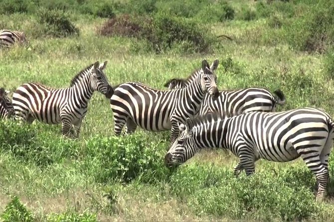 3 days group joining safari to Maasai Mara with a Land Cruiser Jeep - The long road from Nairobi to Maasai Mara