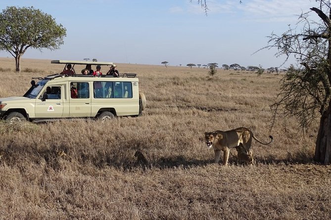 3 days group joining safari to Maasai Mara with a Land Cruiser Jeep - Who will enjoy this safari most