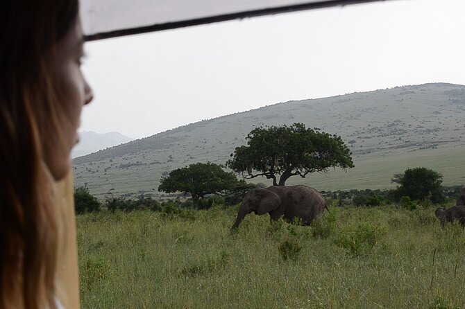 3 days Masai Mara on Private 4x4 Land Cruiser - Day three: one last drive, then back to Nairobi