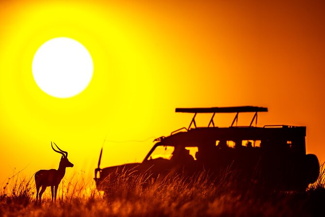 3 days Masai Mara on Private 4x4 Land Cruiser - Accommodation choices and what to clarify