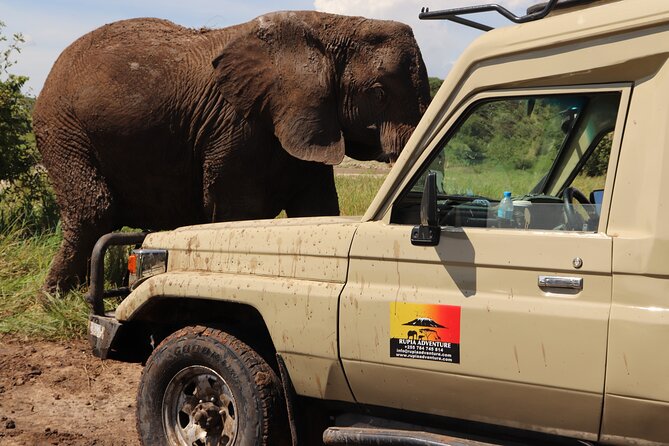 3 Days Private Safari - manyara, Ngorongoro & Tarangire - Day two: Descending 600 meters into Ngorongoro Crater