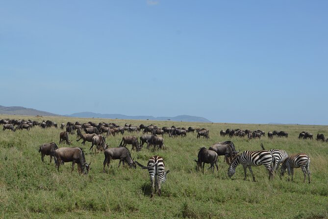 3 Days Serengeti & Ngorongoro Group Camping Safari - Is $815 a fair price?