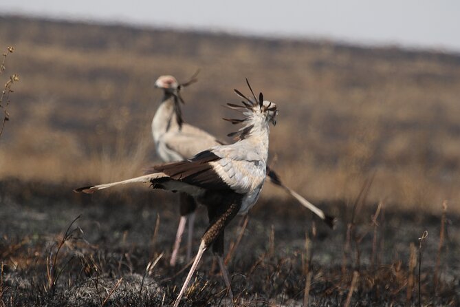 3 Days Tarangire, Ngorongoro & Lake Manyara Group Camping Safari - Is $700 per person a good value?
