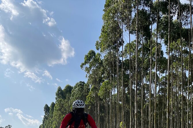 3 Hours Guided Cycling Tour Across Lake Victoria - What to bring for a dirt-road morning