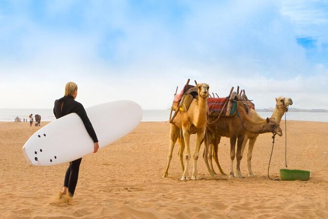 3 hours ride on camel at sunset - Key points to know before you book