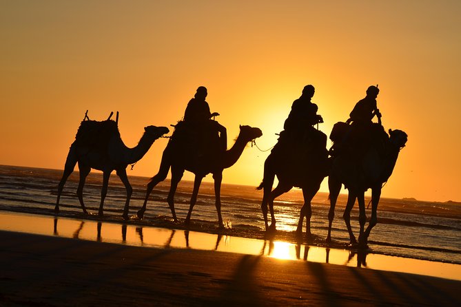 3 hours ride on camel at sunset - A slow ride along Essaouira’s wild beaches