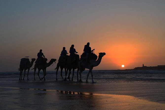 3 hours ride on camel at sunset - Diabat, old ruins, and the Portuguese Borj