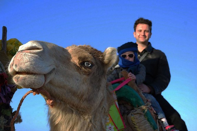 3 hours ride on camel at sunset - Cap Sim dunes and the evening return