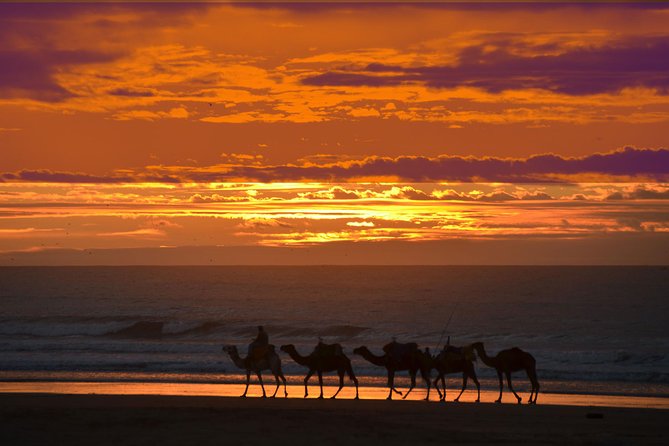 3 hours ride on camel at sunset - What the $52.14 price gets you