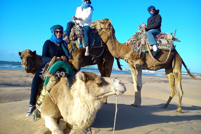 3 hours ride on camel at sunset - Eucalyptus woods and the tea stop