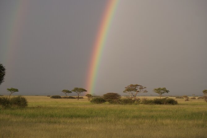 4 Days Group Camping Safari - Camping, meals, and the practical side of the trip