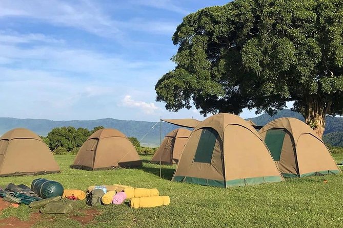 4 Days Join Group tour Tarangire Serengeti and Ngorongoro crater - Day four: down into Ngorongoro Crater