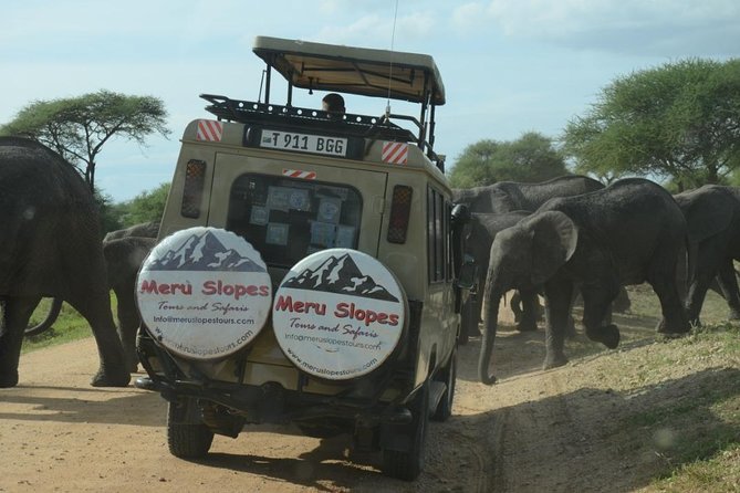 4 Days Join Group tour Tarangire Serengeti and Ngorongoro crater - Day two: the long road toward Serengeti