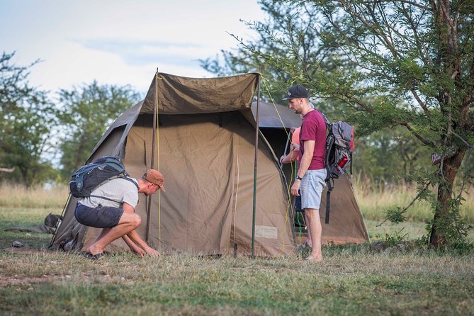 4 Days safari Tour Tanzania - Day three: sunrise in the Serengeti