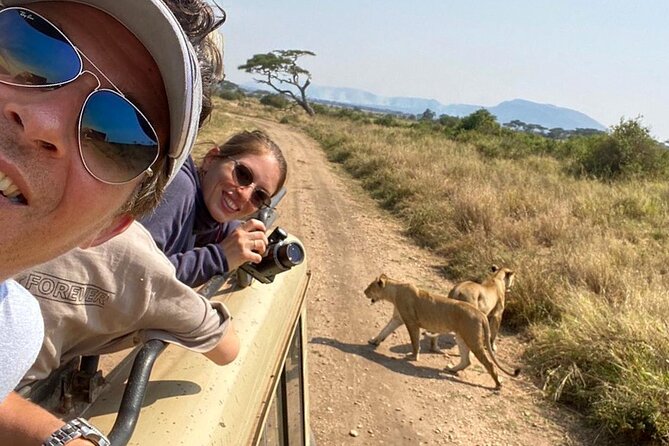 4 Days safari Tour Tanzania - Day four: down into Ngorongoro Crater