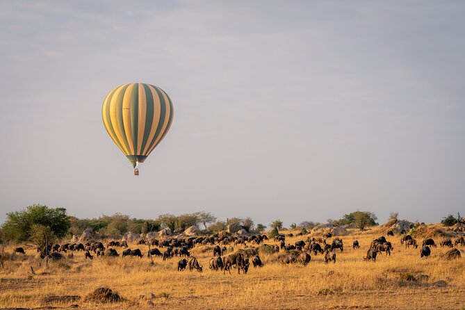 4 Days Tarangire, Serengeti and Ngorongoro Mid-Range Group Safari - Guides, vehicles, and the small-group question