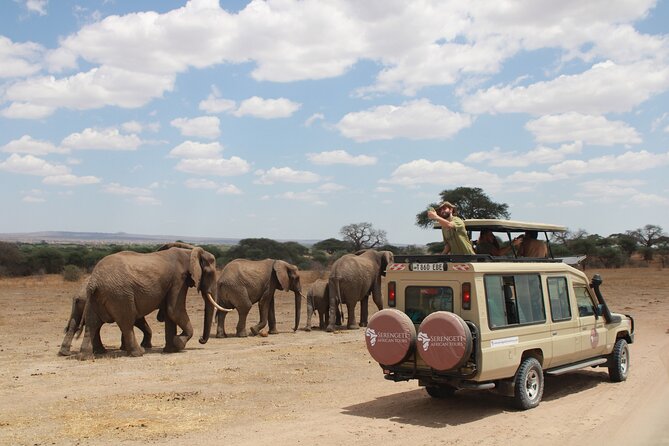 4 Days Tarangire Serengeti Ngorongoro Crater - Day one: elephants and late afternoon in Tarangire