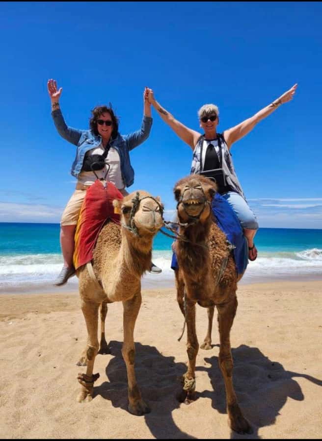 4 Hours Deluxe Guided Tour of Tangier + A tour with camels - Why this Tangier tour works in four hours