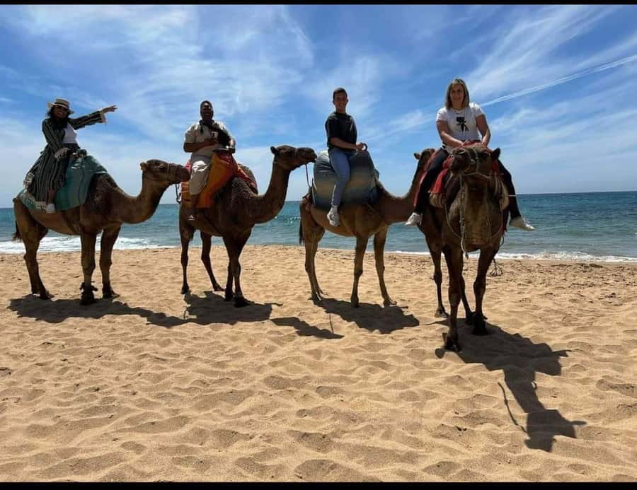 4 Hours Deluxe Guided Tour of Tangier + A tour with camels - Museums and Moroccan art in a short window