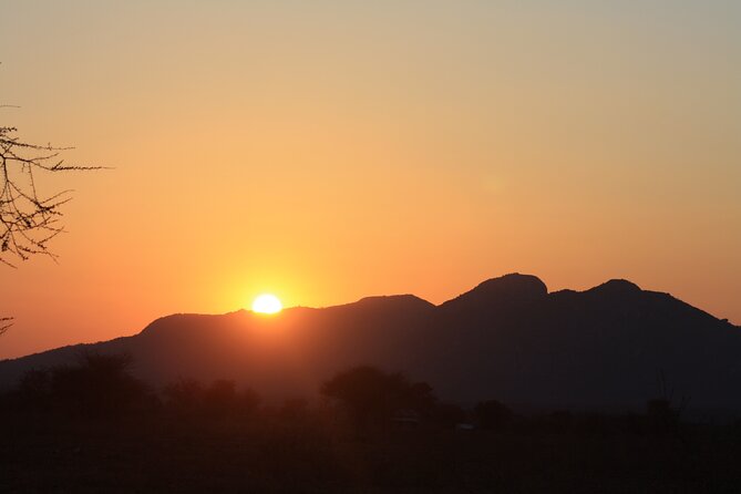 5-Day private Camping Safari Tour in Tanzania - A five-day route built around Tanzania’s big three