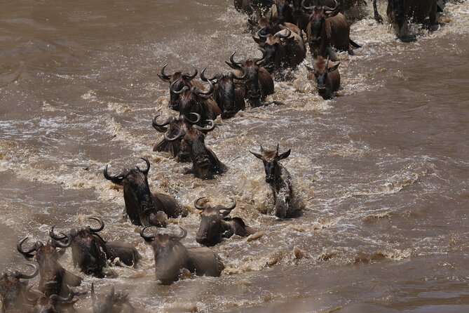 5-Day Private Northern Tanzania Safari from Arusha - What the private format really adds