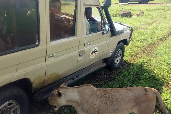 5 Days Camping Tarangire, Serengeti & Ngorongoro crater & Visiting Maasai - Three parks in five days, with plenty of time in the vehicle