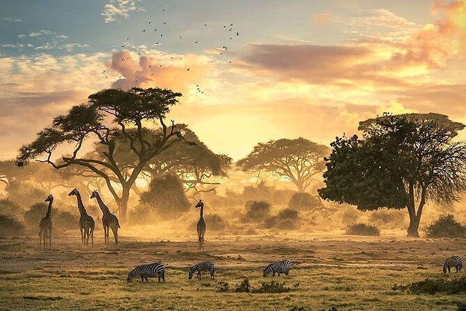 5 Days Camping Tarangire, Serengeti & Ngorongoro crater & Visiting Maasai - What $1,254 includes, and where the value lies