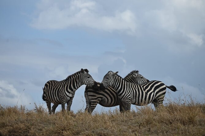 5 Days Group Camping Safari - Day 5: Ngorongoro Crater and Lake Magadi
