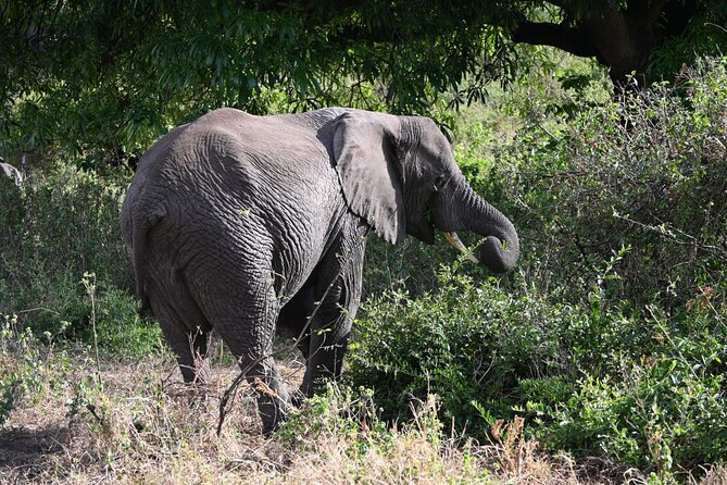 5 Days Group Camping Safari - What camping adds to the experience