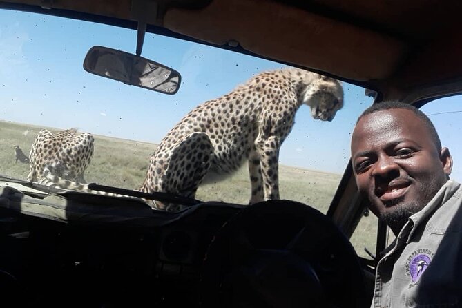 5 Days Tanzania Group Joining Safari, Tarangire/Serengeti/Ngorongoro Crater - Day 1: Tarangire gives the trip an excellent start