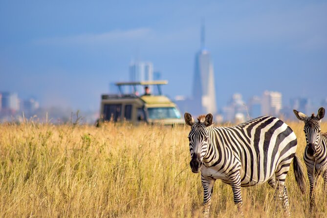 5Hrs Nairobi National Park MorningEvening gamedrive 4x4 vehicle - Who will enjoy this safari most