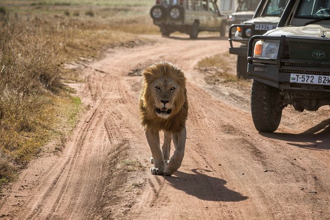 6 Days Private Budget Safari - A six-day route through Tanzania’s best-known parks