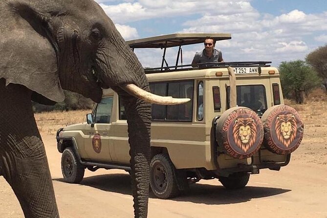 6 Days Private Budget Safari - Day 4: One last Serengeti morning, then Ngorongoro