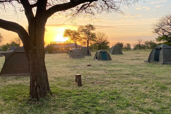 6 Days Private Budget Safari - Day 6: Flamingos and birdlife at Lake Manyara