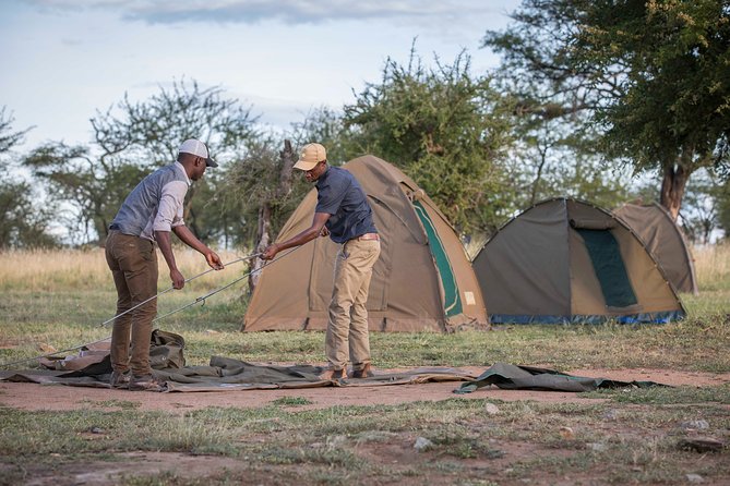 6 Days Private Budget Safari - Day 2: The rough road to Seronera