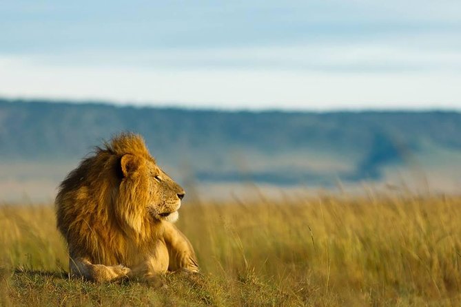 6 Days Tanzania Budget Camping Safari - Why this six-day route works