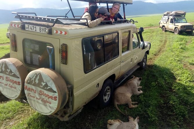 6 Days Tanzania Budget Camping Safari - Day 4: Sunrise in the Serengeti and a night near Ngorongoro
